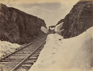 Planche 5. Coupe de Hall, 1869 (photo)