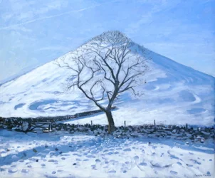 Colline et arbre, Derbyshire, 2008