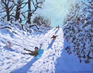 Luge, Calke Abbey, Ticknall, Derby