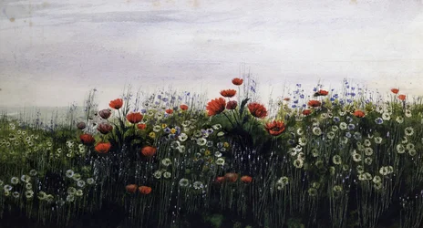 Fleurs d