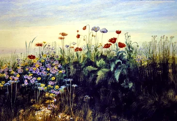 Fleurs sauvages