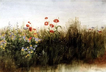 Fleurs sauvages près d