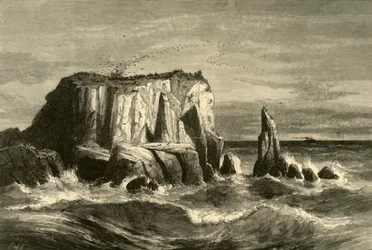 Scène côtière, comté de Marin
