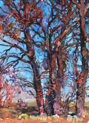 Les arbres aux couleurs chatoyantes de l