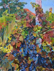 Un vignoble aux couleurs chatoyantes de l