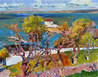 Une vue imprenable sur la côte