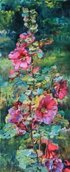 Fleur de rose trémière aux couleurs éclatantes