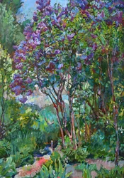 Un jardin aux lilas éclatants