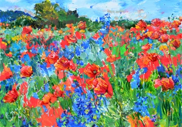 Un champ de coquelicots éclatant