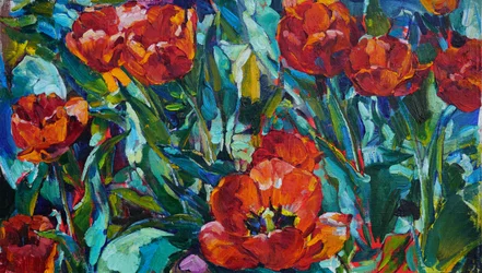 Des tulipes d