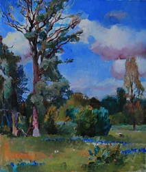 Paysage estival éclatant
