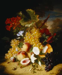 Pêches, raisins, un melon, liserons et autres fleurs dans un paysage