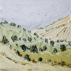 Collines verdoyantes et vallonnées