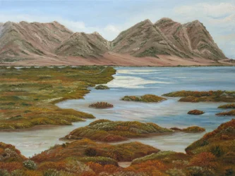 Les zones humides d