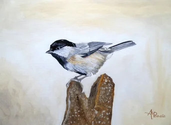 Une mésange sur une souche d