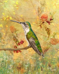 Perchoir pour colibri doré