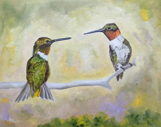 Un couple de colibris perché