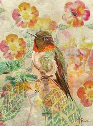 Colibri et fleurs