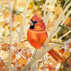Feuilles d