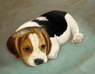Un chiot beagle triste