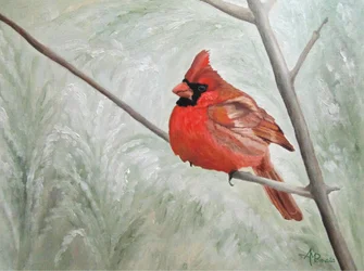 Cardinal d