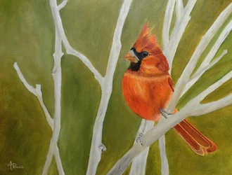Un cardinal aux couleurs vives, perché