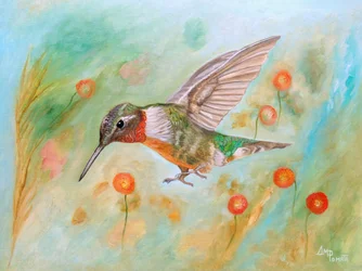 Le vol éclatant du colibri