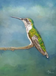 Perchoir coloré pour colibris