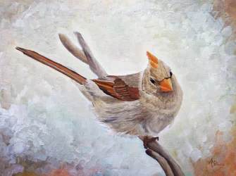 Une femelle cardinal vigilante