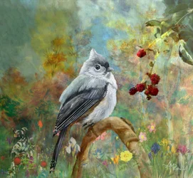 Mésange fantaisiste du jardin