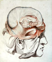 Le Crâne, du 