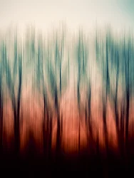 Flou forestier abstrait