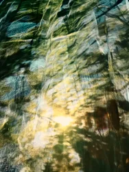 La lumière du soleil dans une forêt enchantée