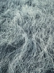 Herbe gelée en hiver