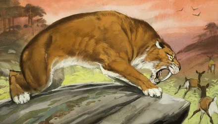 Le tigre à dents de sabre en chasse