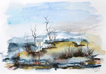 Marais brumeux d
