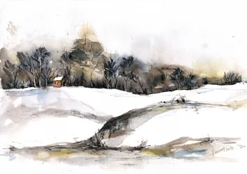 Une cabane d
