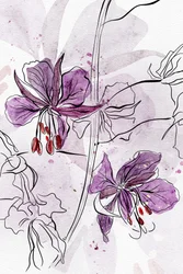 Fleurs violettes à l