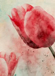Des tulipes aux couleurs vives peintes à l