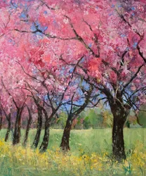 Fleur de cerisier dans la prairie, 2022