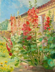 Des roses trémières rouges dans le jardin de la famille Ancher à Markvej à Skagen.