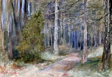 Dans un bois, c1864-1930