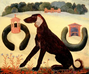 Chien du désert