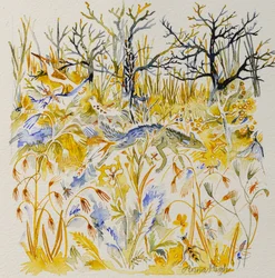 Renard dans les bois, 2023 (aquarelle)