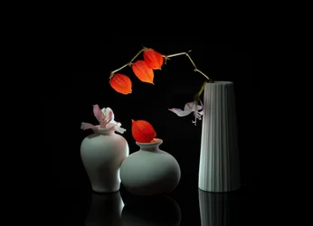 Nature morte florale élégante