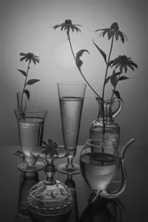 Fleurs monochromes et verre