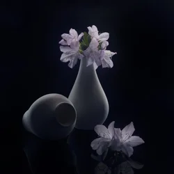 Fleurs et vases « Moody »