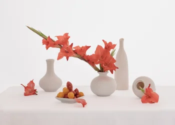Nature morte aux glaïeuls orange