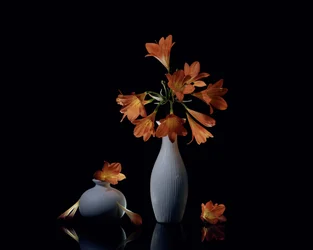 Nature morte orange vif