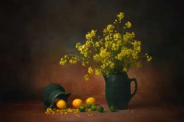 Fleurs jaunes et citrons